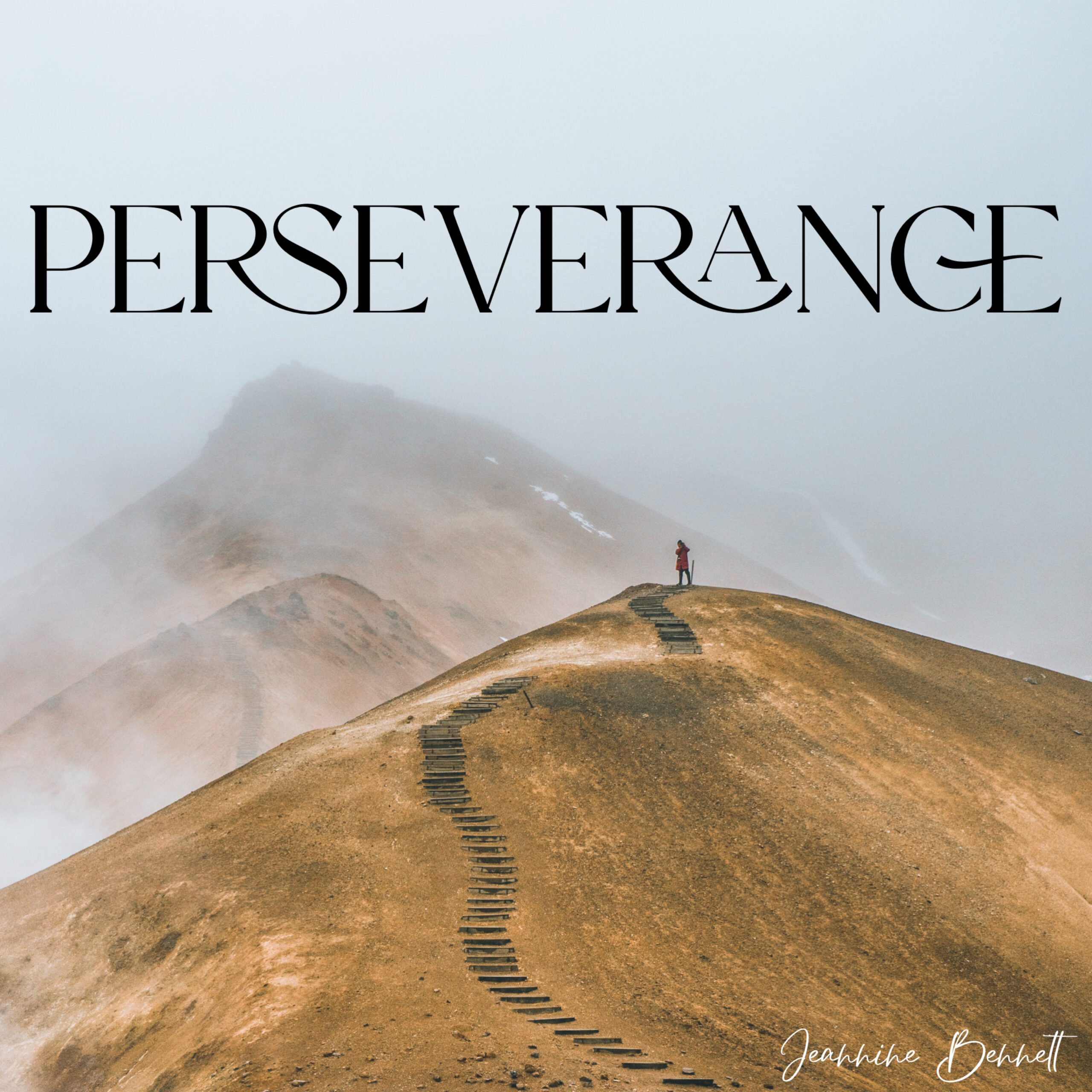 Perseverance